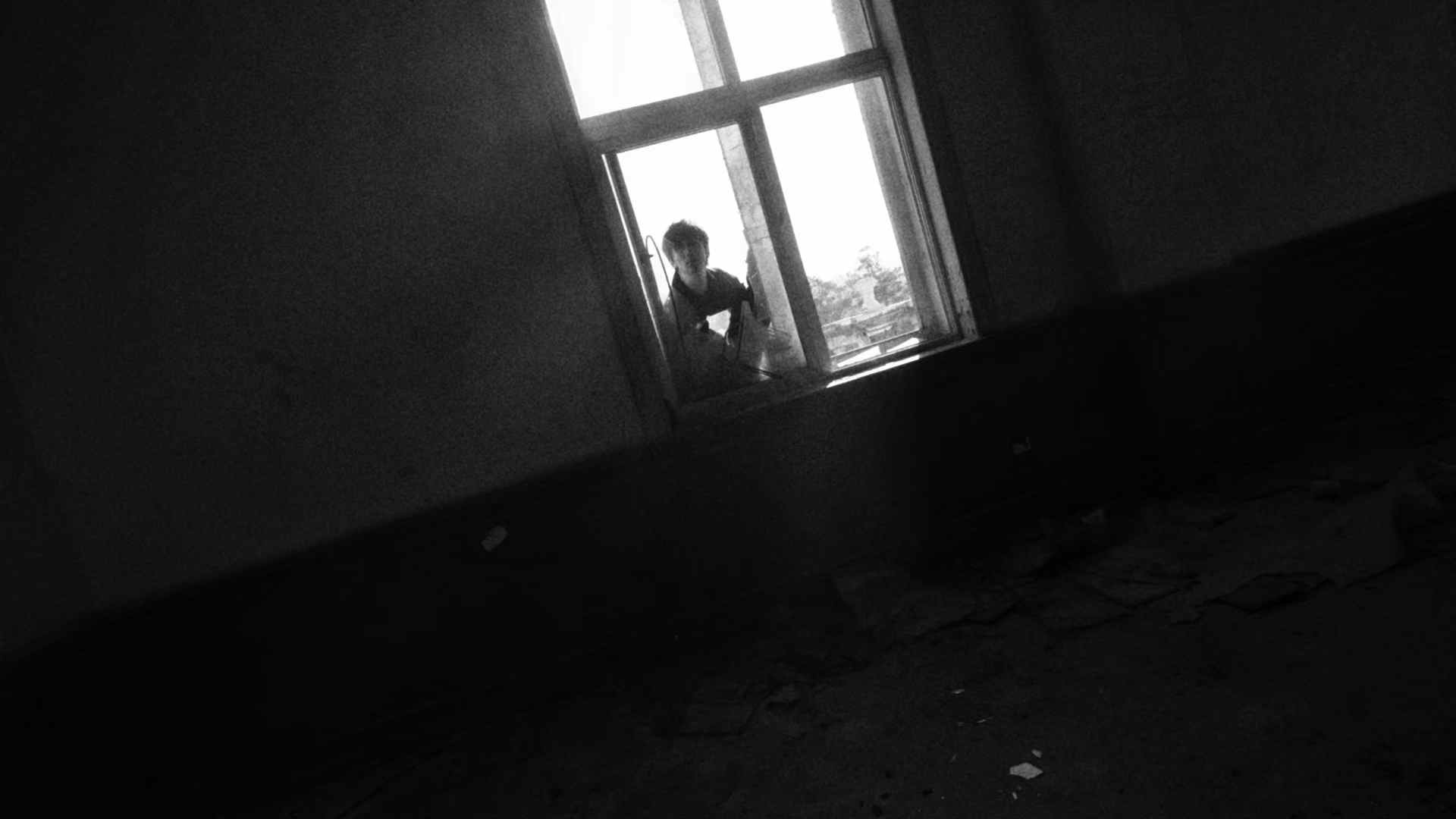 BLACK BIRD — a figure framed by a tall window
