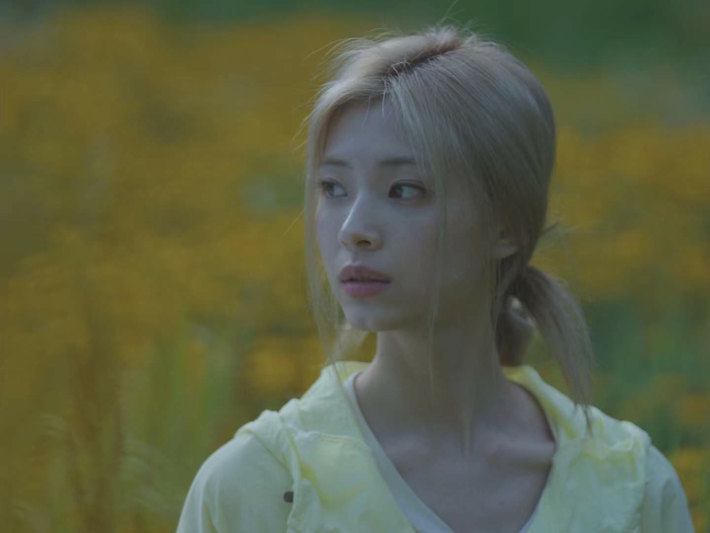 Congcong in a flower field