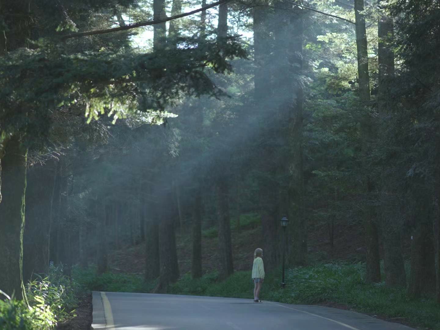 A woman on a forest road